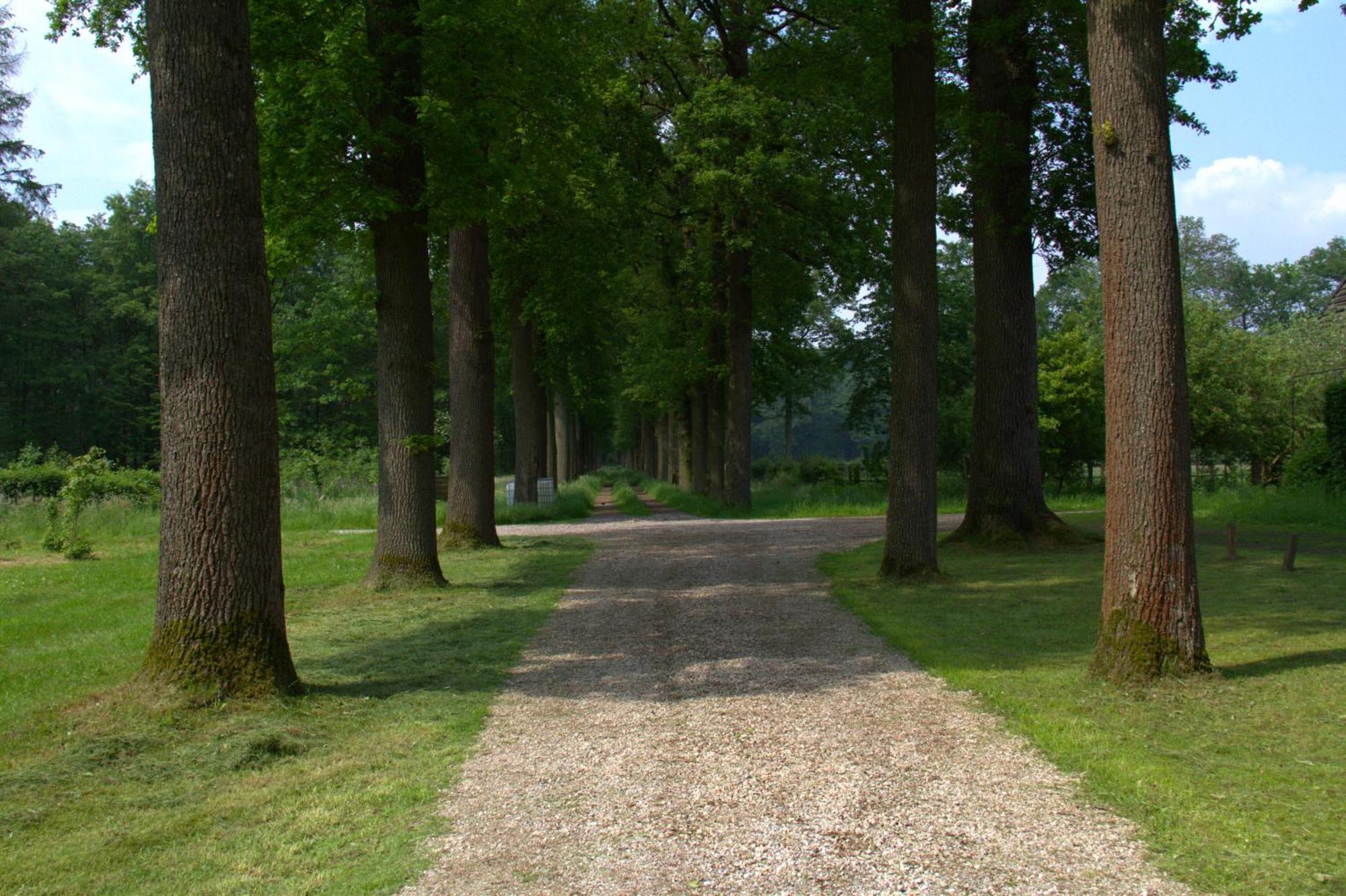 B&B Kasteel Den Tip Arendonk Exteriér fotografie